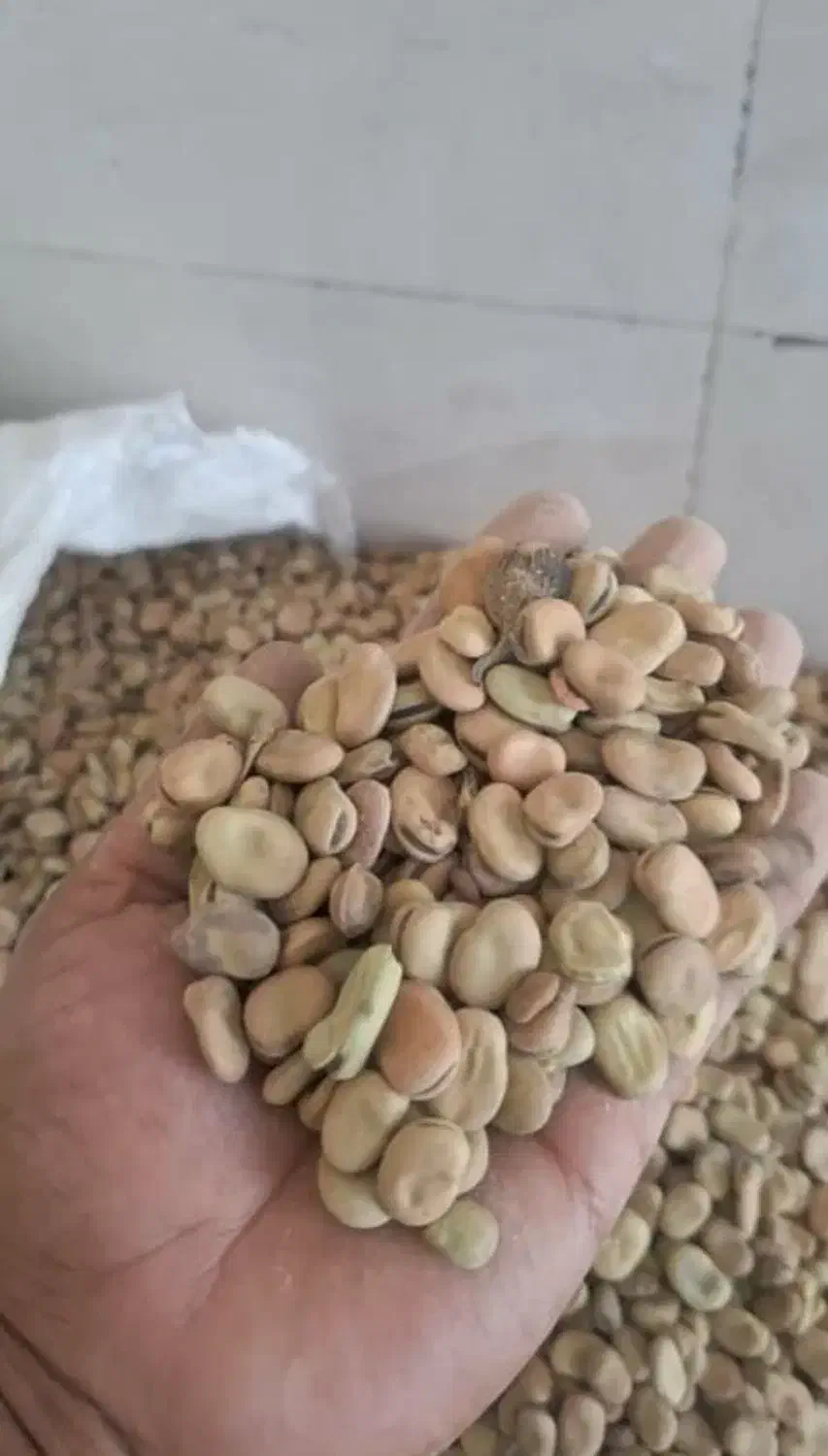 باقله|خوردنی و آشامیدنی|مرودشت, ثبت احوال|دیوار