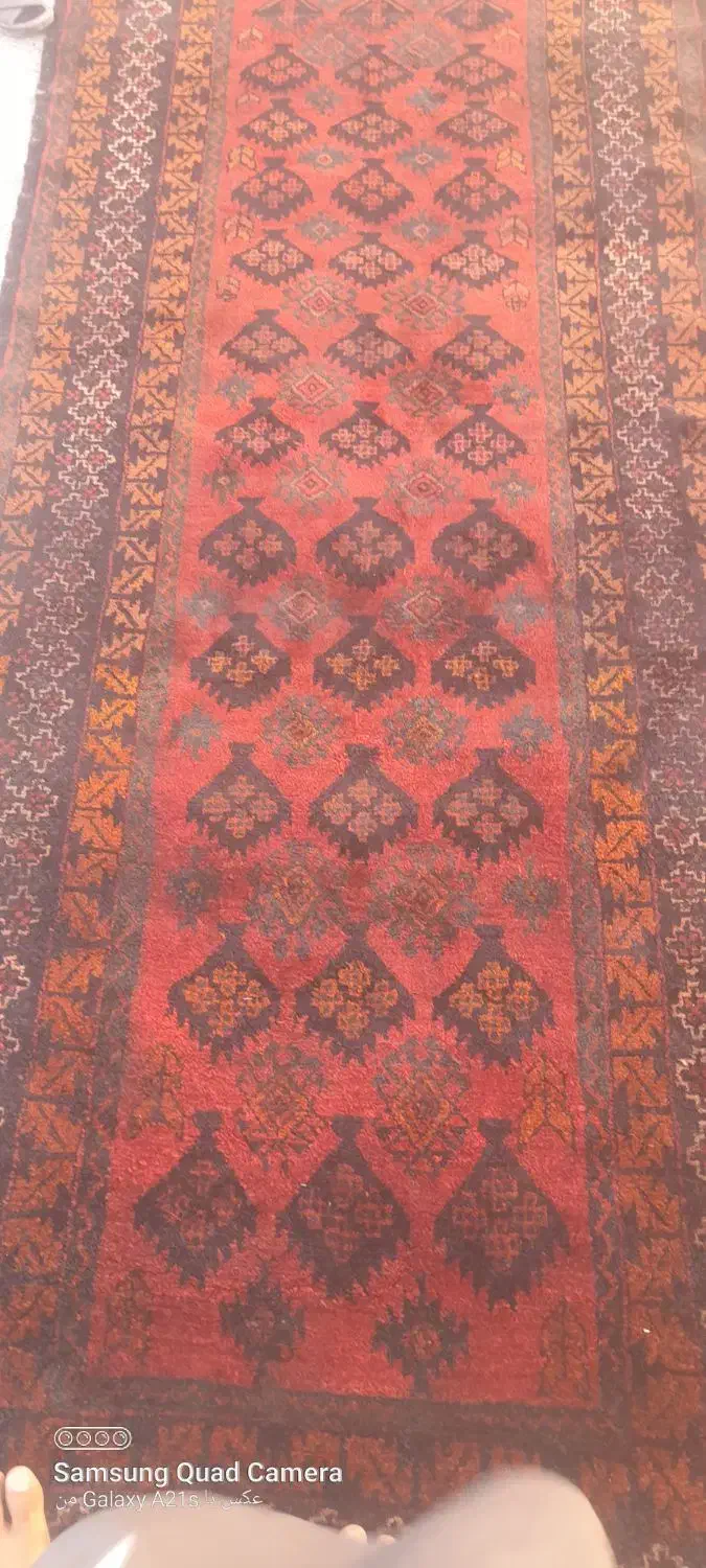 فرش دستباف قدیمی|فرش|زاهدان, |دیوار