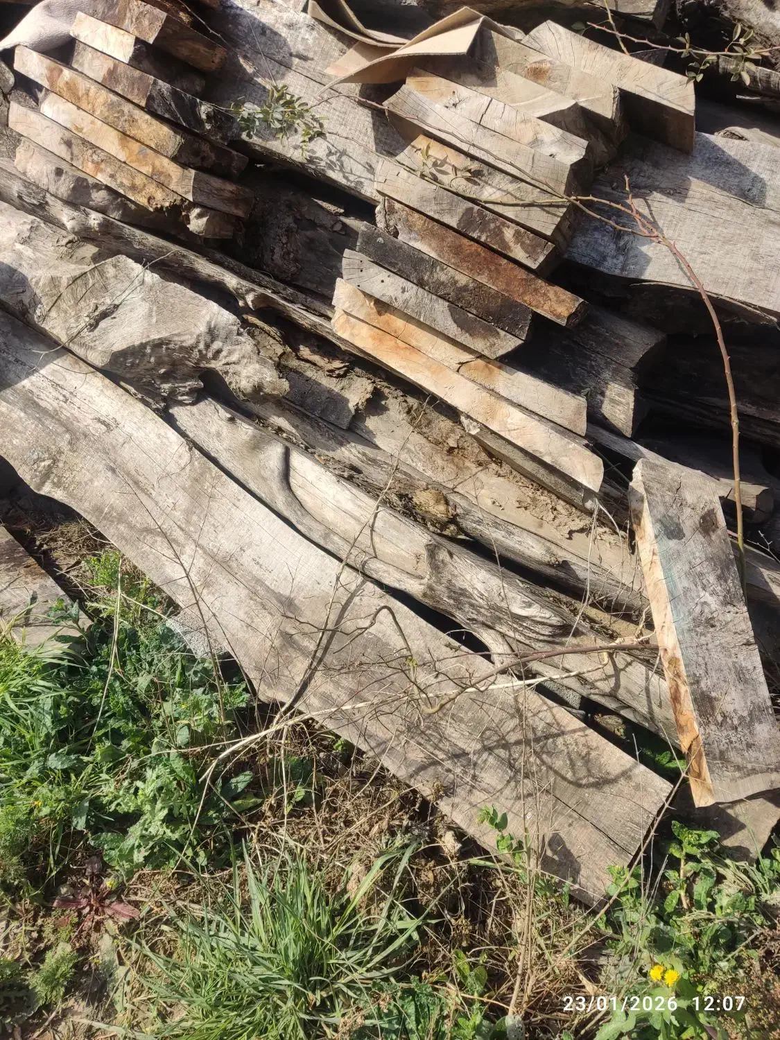 چوب|حراج|سورک, |دیوار