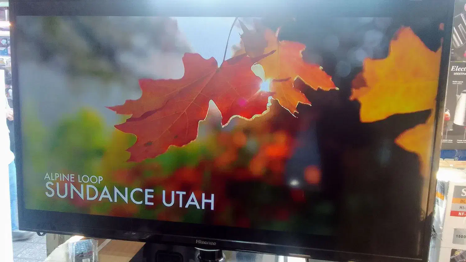 ۴۲ ال ایدی هایسنس درحد|تلویزیون و پروژکتور|اشنویه, |دیوار