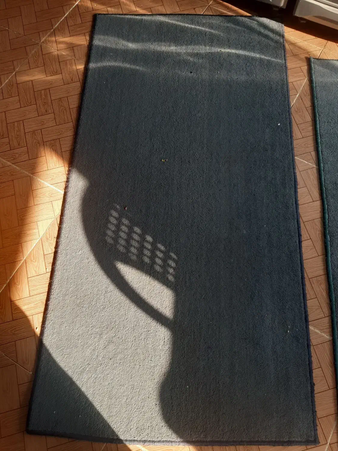 فرش فانتزی|فرش|رشت, سعدی (تختی)|دیوار