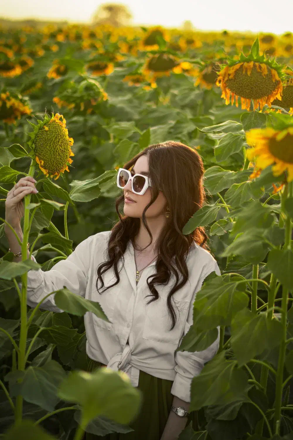 عکاسی و فیلم برداری|خدمات پذیرایی، مراسم|ارومیه, |دیوار