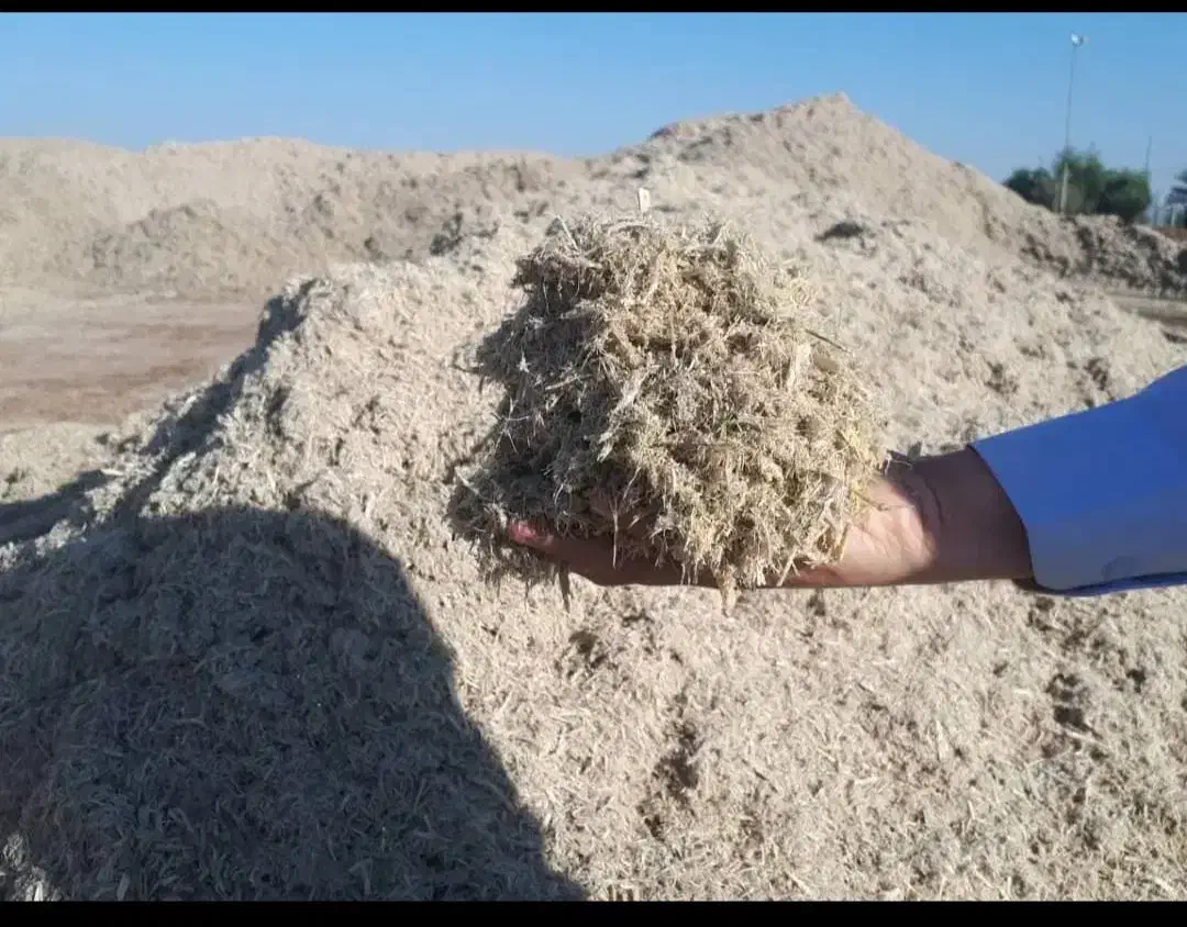 باگاس نیشکر  عمده سراسر ایران|عمده‌فروشی|تهران, شهرک خرازی|دیوار