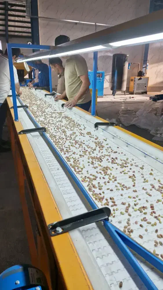 نوار دست چین گروه صنعتی سیفی|ماشینآلات صنعتی|رفسنجان, |دیوار