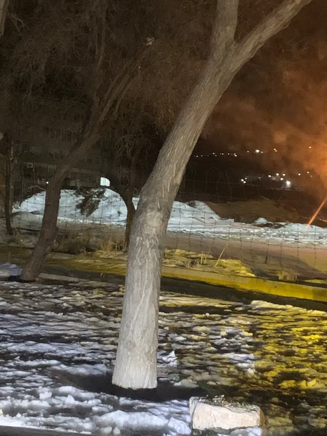 جویای کار|خدمات باغبانی و درختکاری|سقز, |دیوار