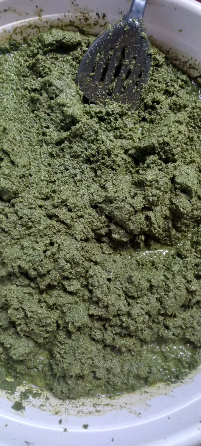 ترش واش چرخ شده وسبزی خوردشده|حراج|لنگرود, |دیوار