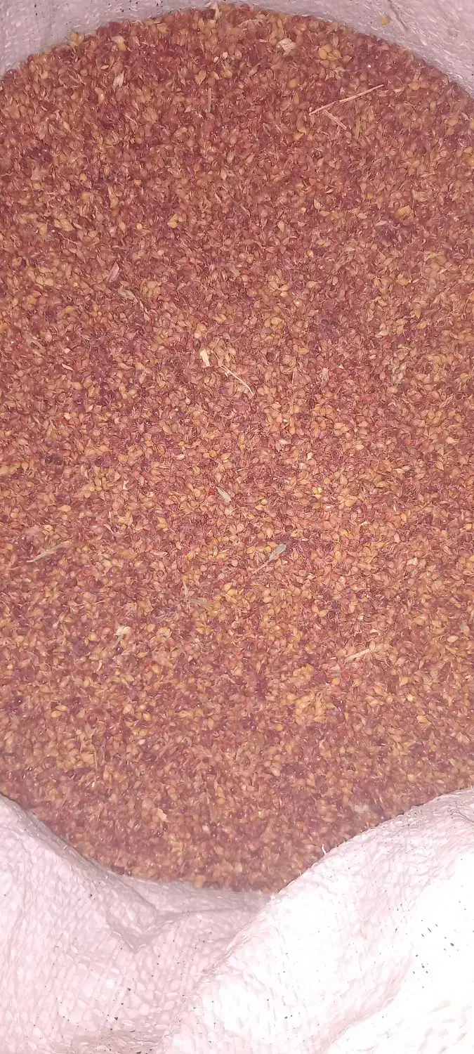 دان جارو|لوازم جانبی حیوانات|میانه, |دیوار