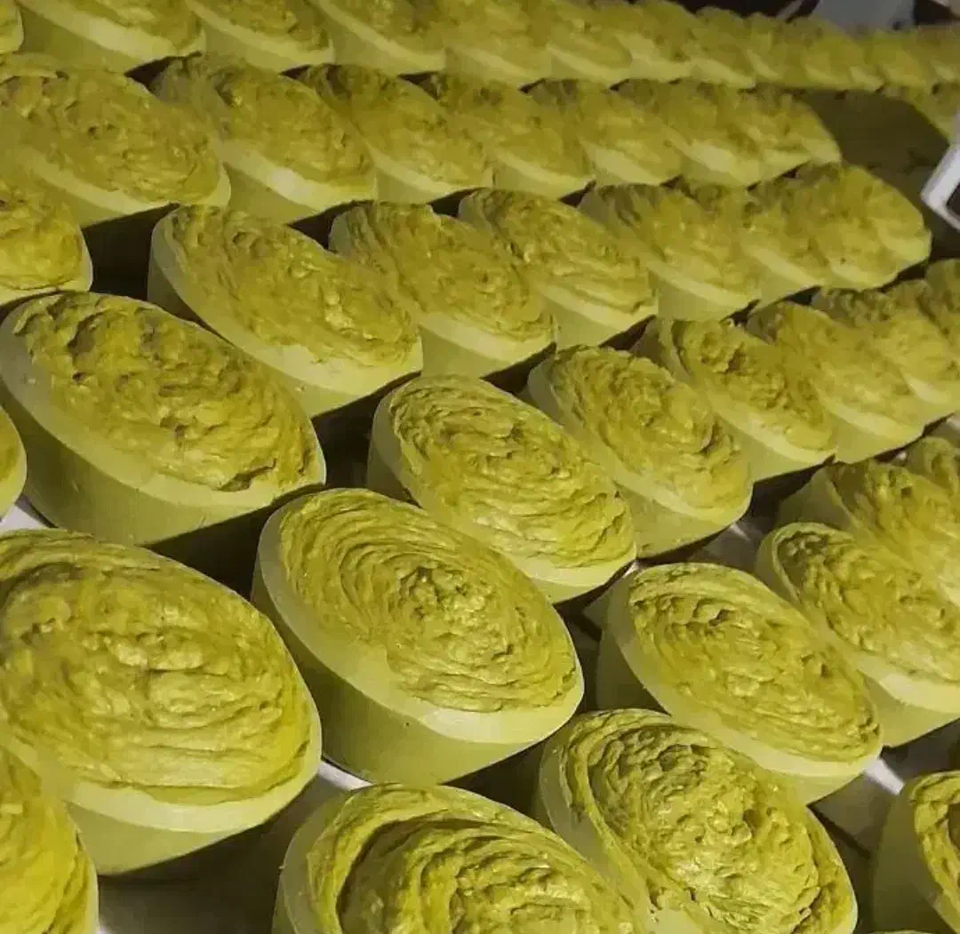 صابون زیتون (رودباری)|آرایشی، بهداشتی، درمانی|رشت, ساغری سازان|دیوار