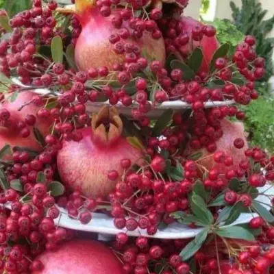 کارگر حرفه ای هستیم|خدمات باغبانی و درختکاری|کوهدشت, |دیوار