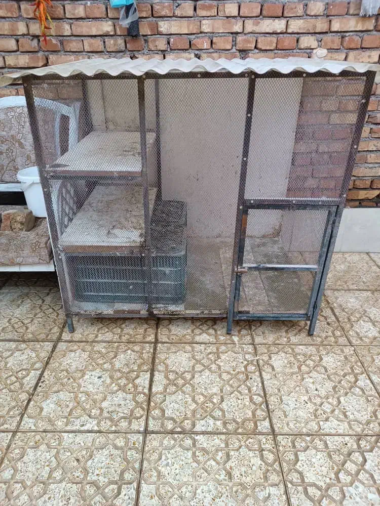 قفس|لوازم جانبی حیوانات|مرند, |دیوار