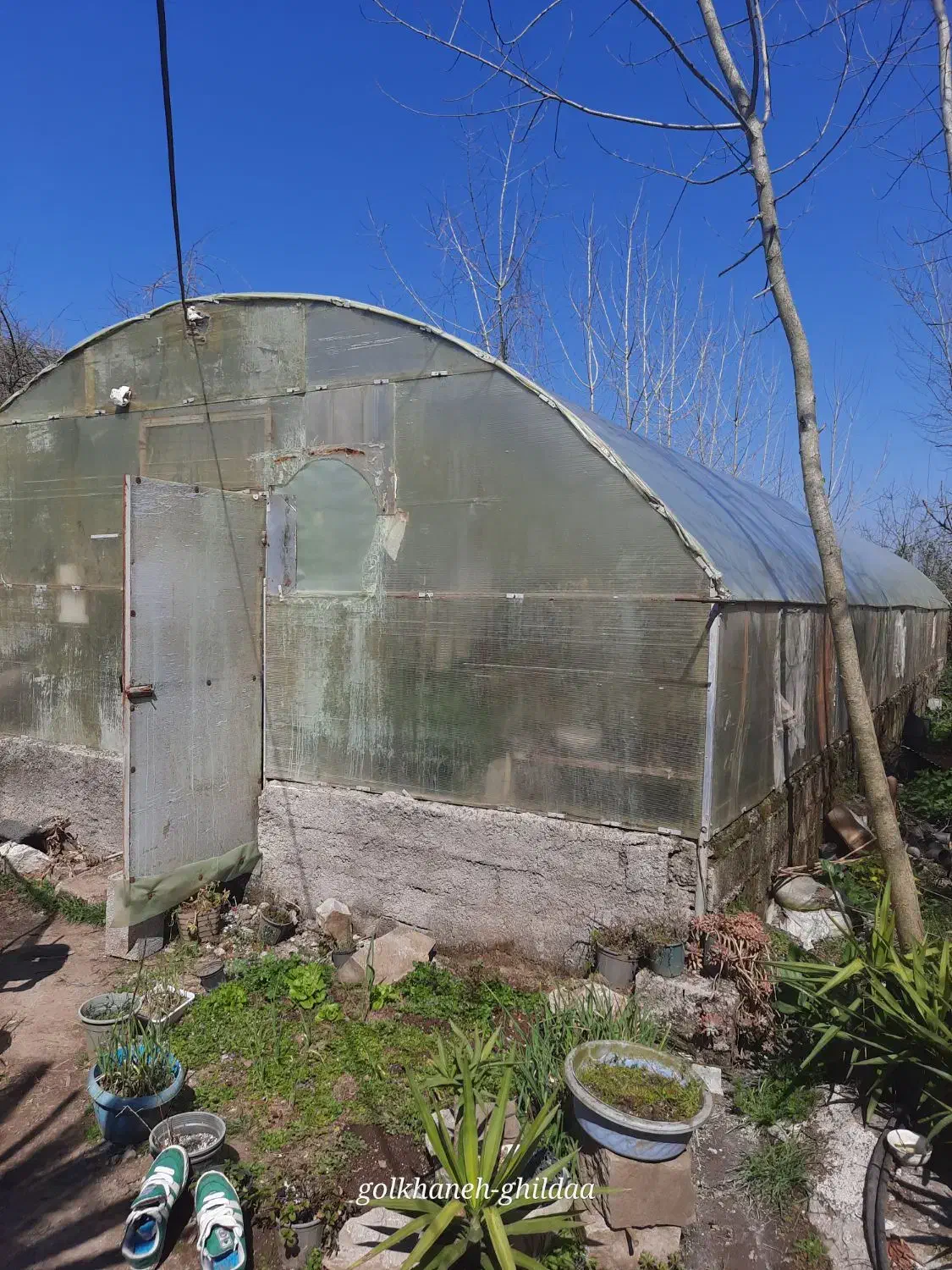 سازه گلخانه|ابزارآلات|لاهیجان, بازکیاگوراب|دیوار