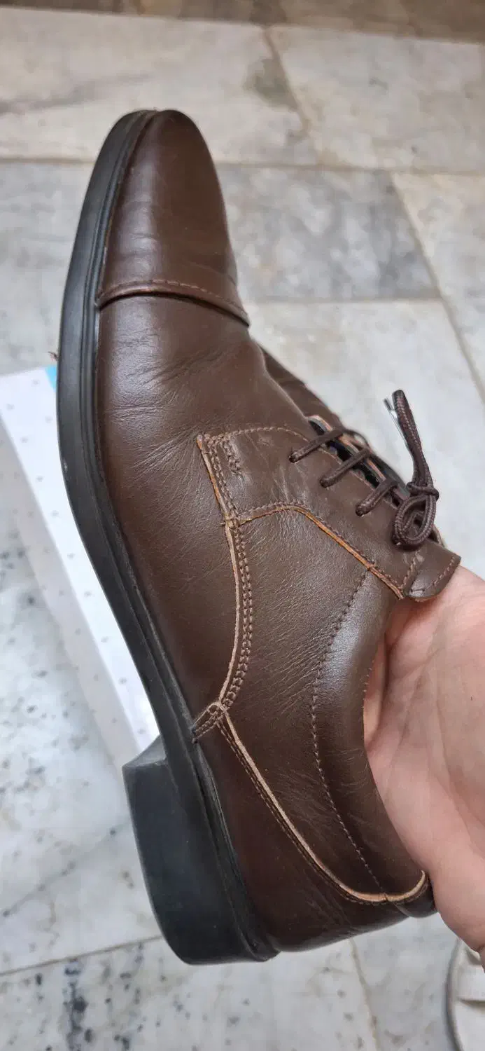 کفش زنانه و مردانه|کیف، کفش، کمربند|زاهدان, |دیوار