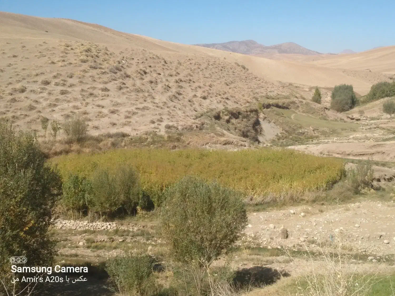 جارو ذراتی|لوازم نظافت|الشتر, |دیوار