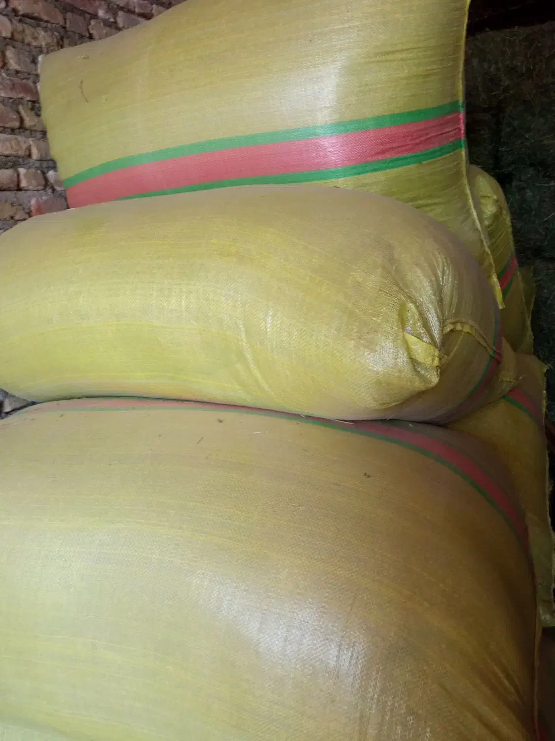 فروش کاه یونجه خالص|حیوانات مزرعه|هریس, |دیوار