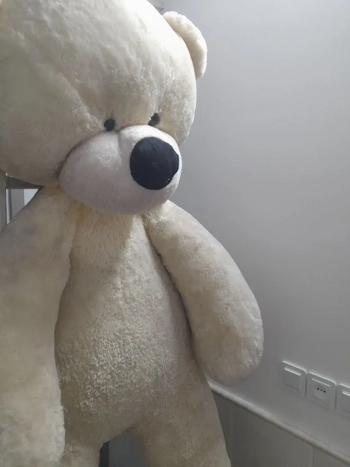 خرس عروسکی بزرگ|اسباببازی|قم, نوبهار|دیوار