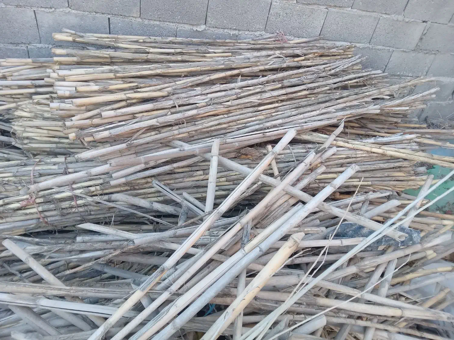 قیم|خدمات باغبانی و درختکاری|پاکدشت, پاکدشت (مامازند)|دیوار