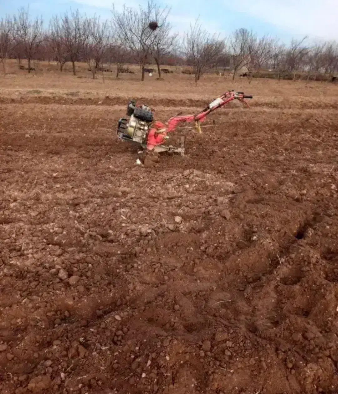 شخم‌زدن‌باتیلر|خدمات باغبانی و درختکاری|سبزوار, توحیدشهر|دیوار