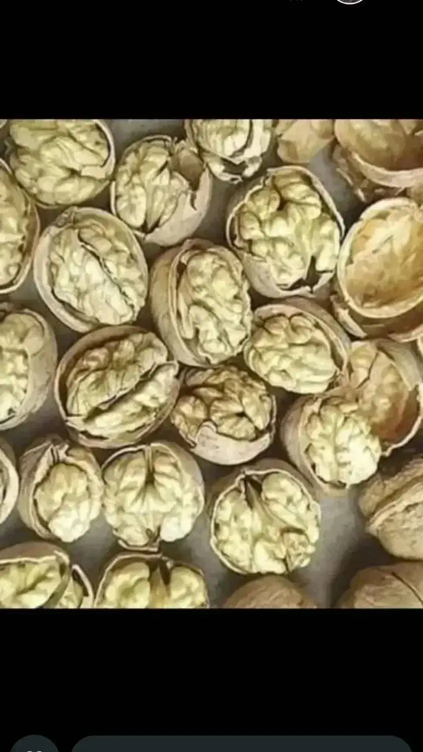 گردو با کیفیت تویسرکان گردو مال باغ خودمون هست|خوردنی و آشامیدنی|محمدشهر, کوی بهار|دیوار