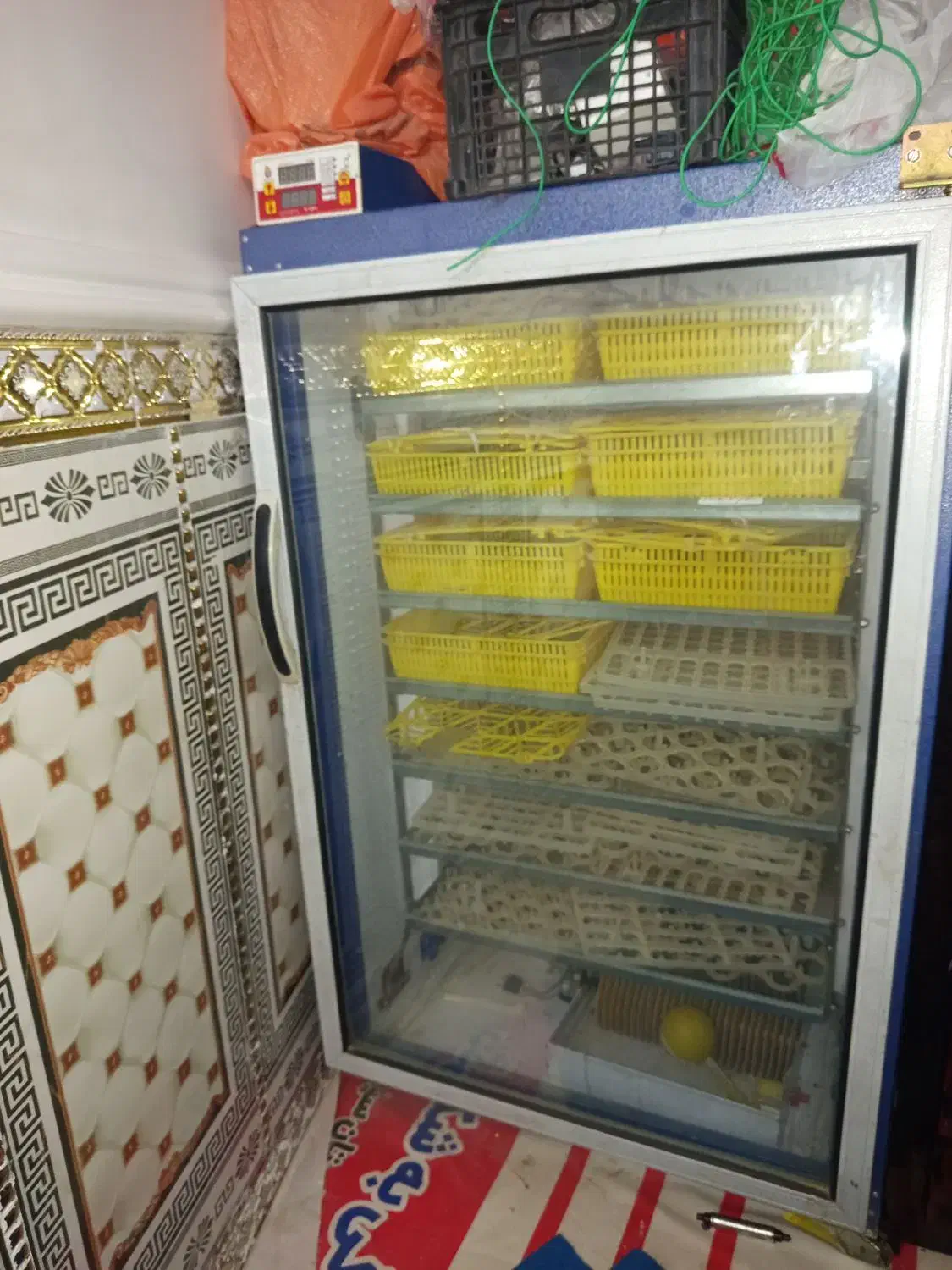 دستگاه جوجه کشی دماوند|لوازم جانبی حیوانات|هامون, |دیوار