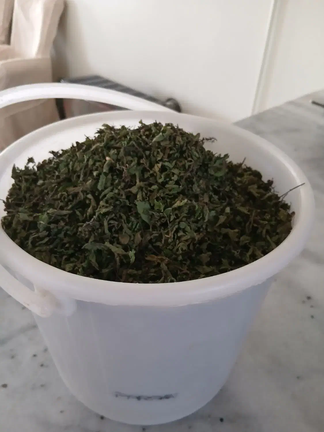 نعنا خشک شده خانگی مقدار محدودک۴۵۰۰۰۰|خوردنی و آشامیدنی|شاهینشهر, برخوار غرب|دیوار