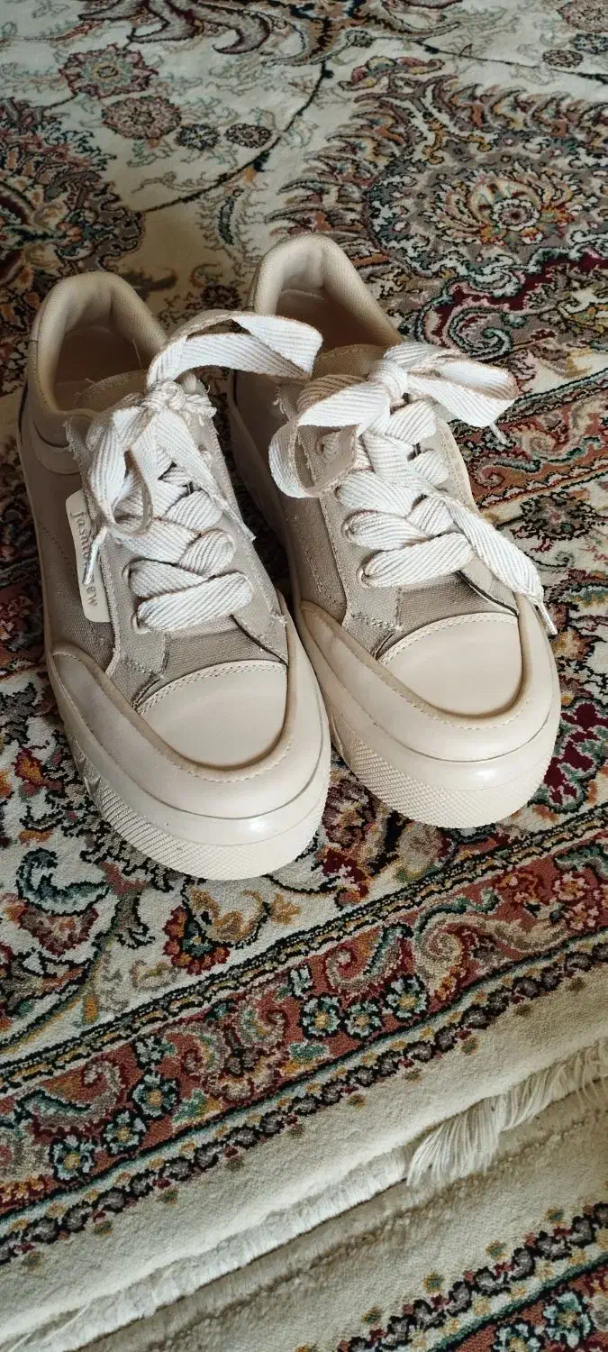 کفش|کیف، کفش، کمربند|قشم, |دیوار