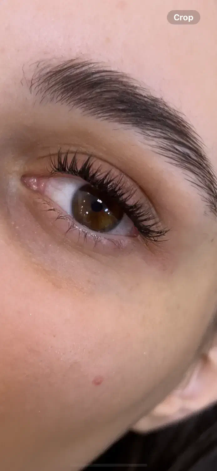 آموزش کاشت مژه ، لیفت ، همراه با مدرک|خدمات آموزشی|بروجرد, |دیوار