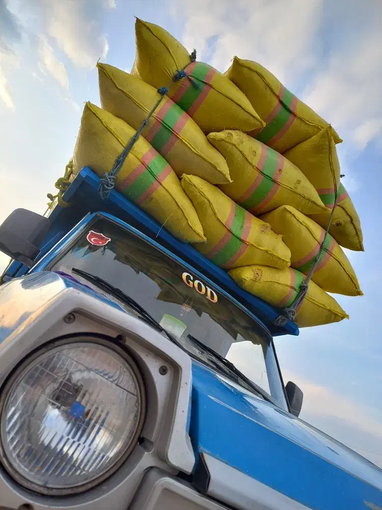 باسلام|حراج|هشترود, |دیوار