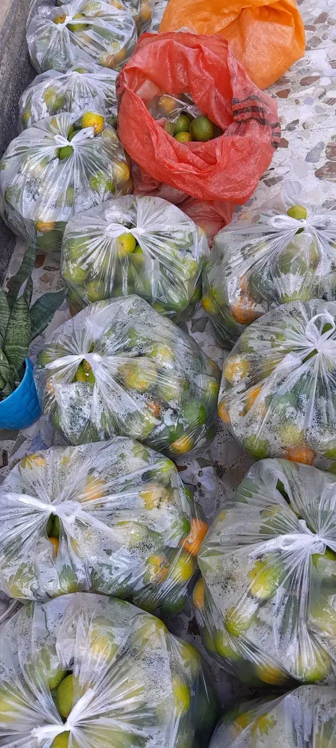 نارنج آبدار و تمیز تحویل رایگان|خوردنی و آشامیدنی|رشت, جهاد|دیوار