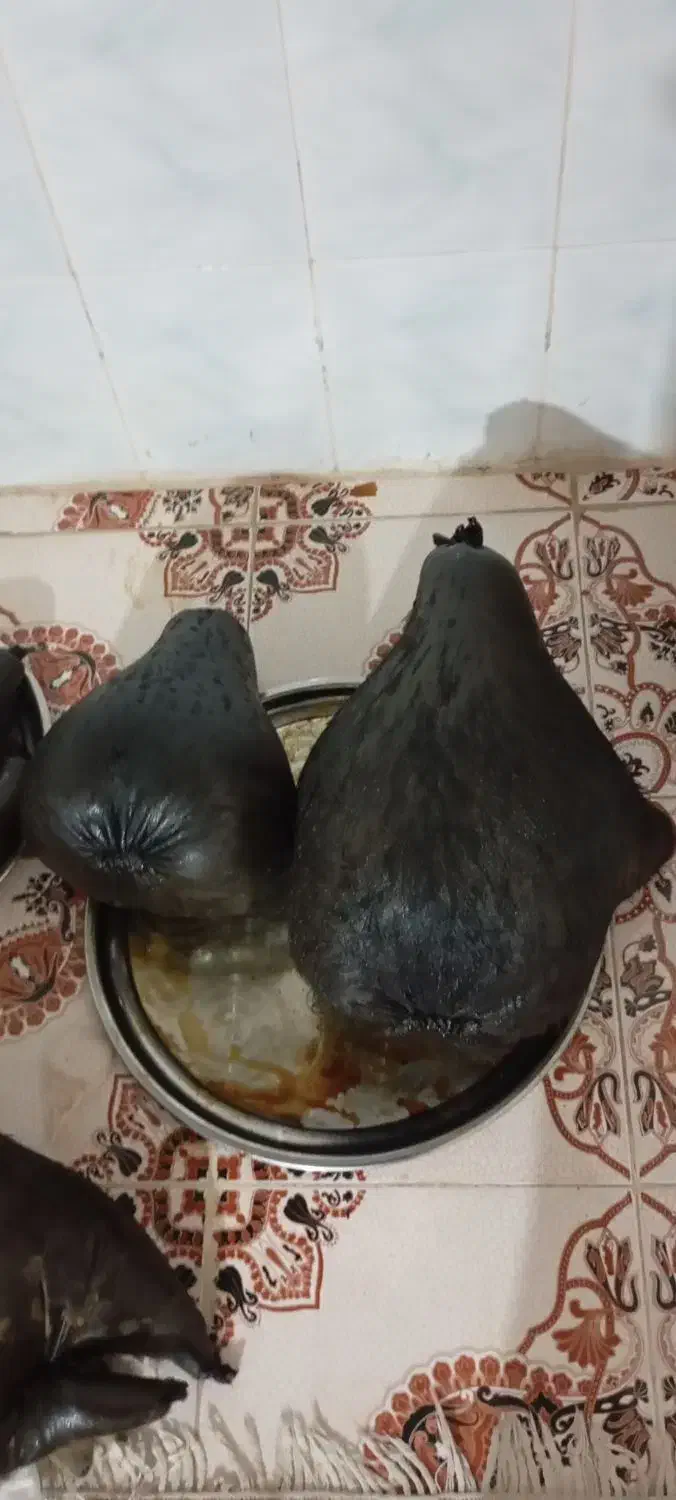 هیزه نو|ظروف نگهدارنده، پلاستیکی، یکبارمصرف|نورآباد, |دیوار