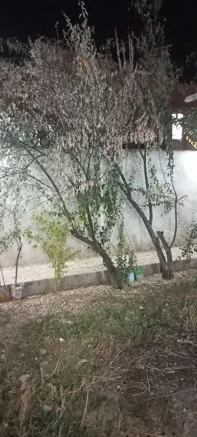 اجاره خانه ویلایی دوخوابه ،خرمدره خیابان مطهری|اجارهٔ خانه و ویلا|خرمدره, |دیوار