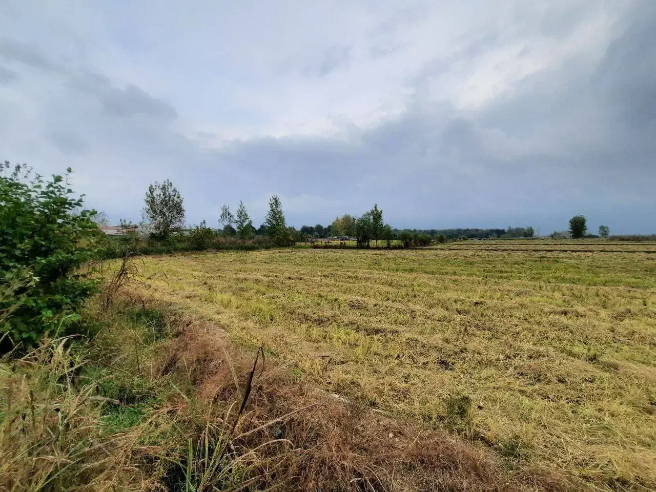 2هکتار زمین چسبه ساخت/سنددار/حومه نور|فروش زمین و ملک کلنگی|کیاکلا, |دیوار