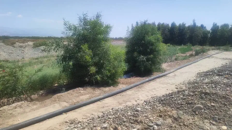 5هکتار زمین کشاورزی مناسب کاشت پیاز و گندم|اجارهٔ دفتر صنعتی، کشاورزی، تجاری|جیرفت, |دیوار