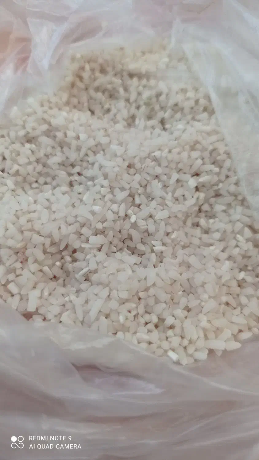 نیم دانه هاشمی|خوردنی و آشامیدنی|پارسآباد, |دیوار