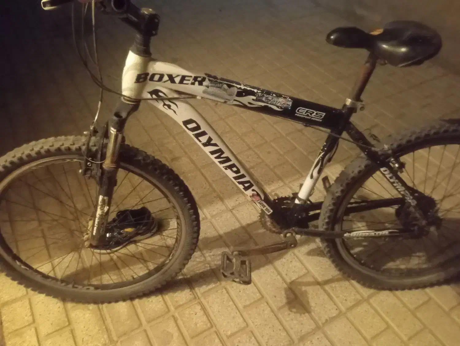 دوچرخه 26|دوچرخه، اسکیت، اسکوتر|تایباد, |دیوار