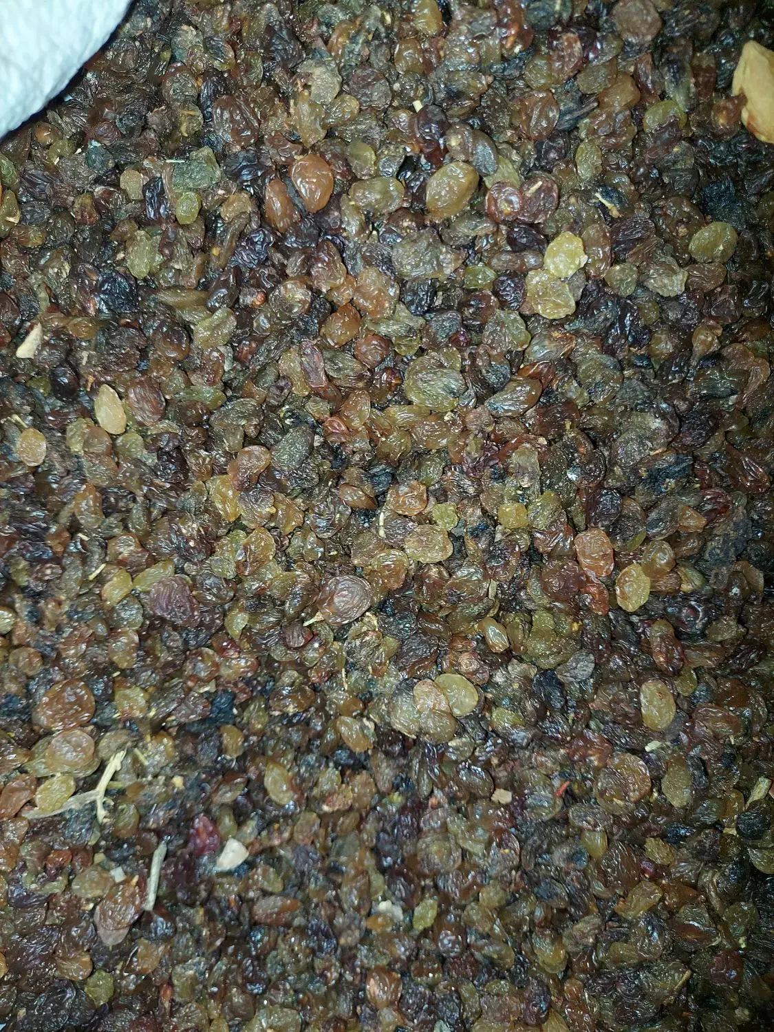 کشمش|عمده‌فروشی|ملایر, |دیوار