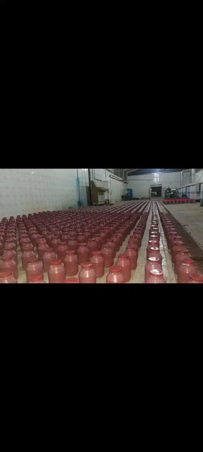 مرکز تولید و پخش رب گوجه شیره انگور و خرما|عمدهفروشی|خرمآباد, |دیوار