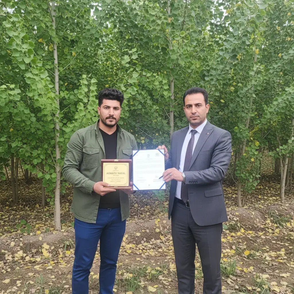 نمایندگی رسمی نهـال صنوبــر با پشتیبانی کامل|خدمات باغبانی و درختکاری|قشلاق دشت, |دیوار