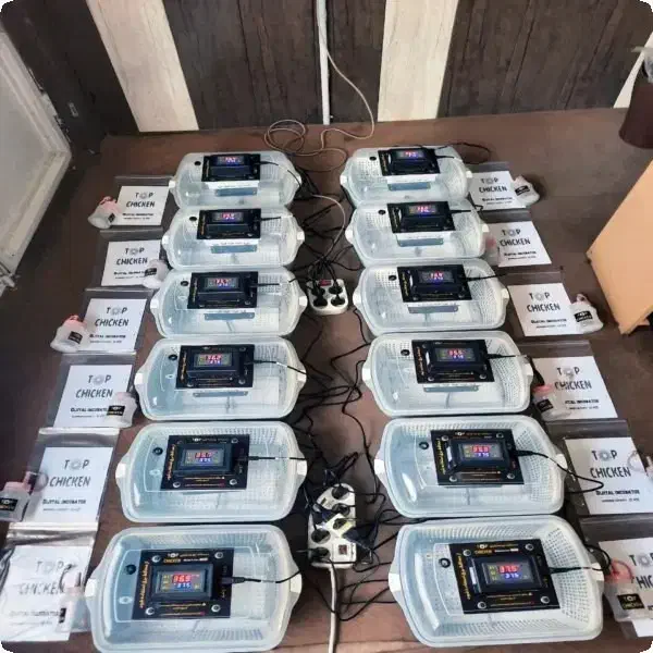 سنسور اورجینال قوی 000000 دستگاه جوجه کشی|لوازم جانبی حیوانات|خرمآباد, |دیوار