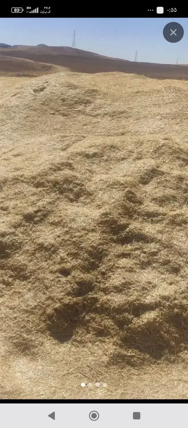 فروش کاه|حیوانات مزرعه|دلبران, |دیوار