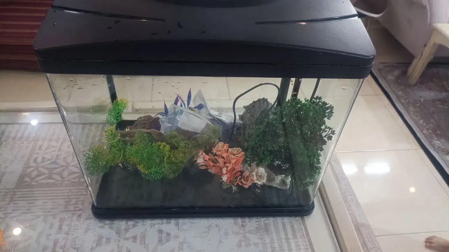 آکواریوم ماهیران با تجهیزات کامل|ماهی|اصفهان, شهرک میلاد|دیوار