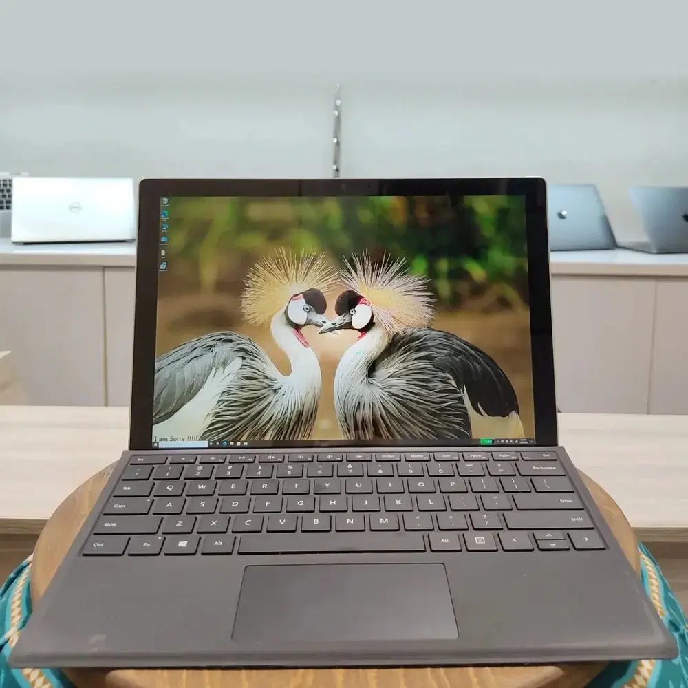 Surface pro 5 i7 Ram 16|رایانه همراه|تهران, صادقیه|دیوار