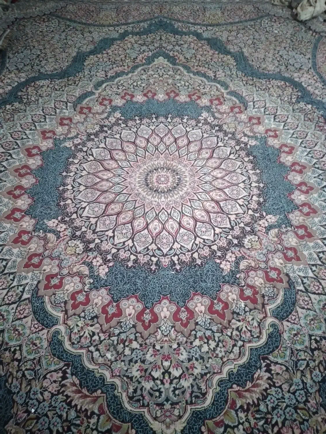 2عدد قالی 12متری|فرش|جیرفت, |دیوار