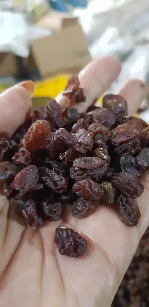 پخش عمده کشمش صفا|عمدهفروشی|اهواز, کیانشهر|دیوار