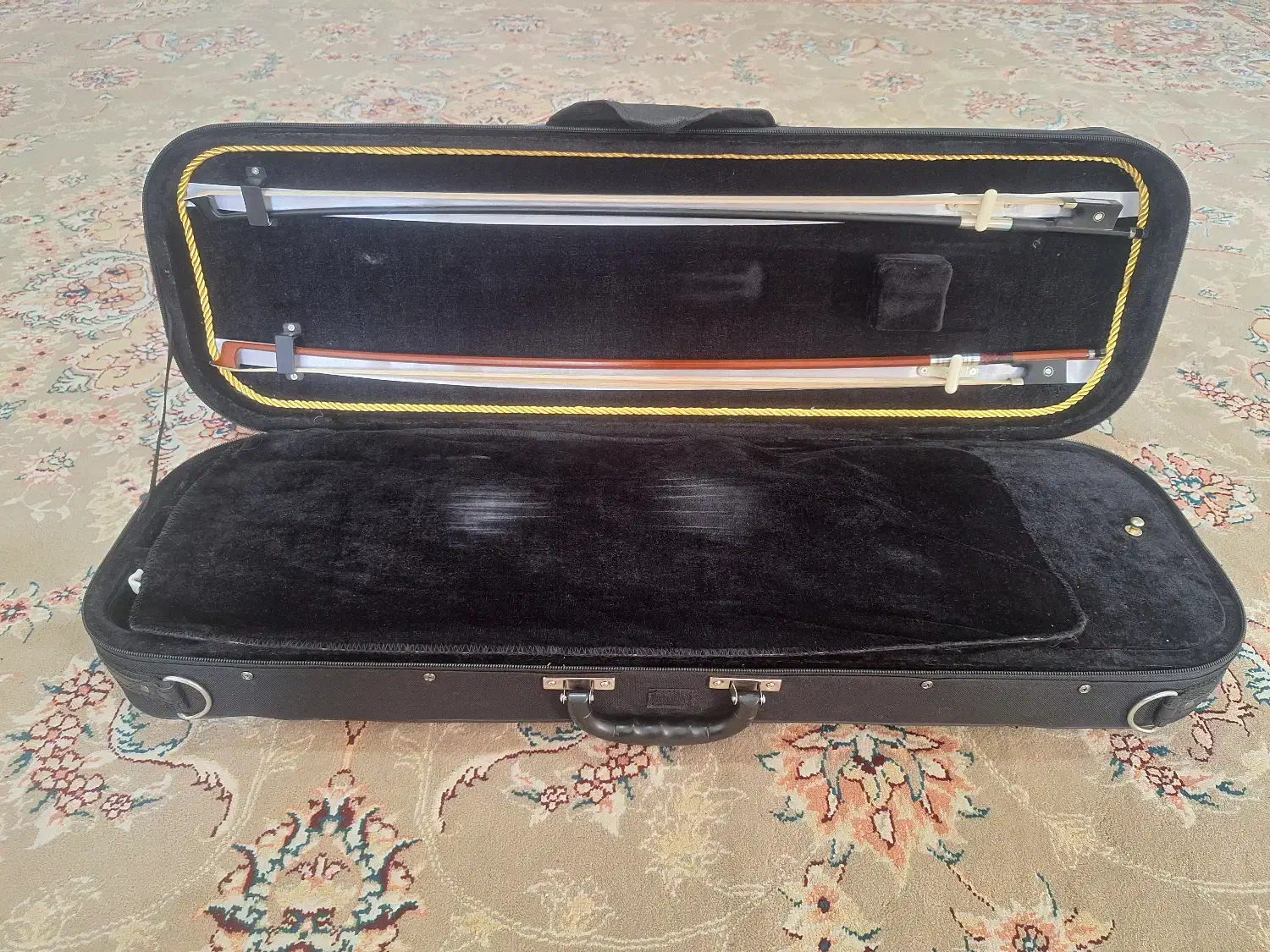 ویولن آندریاس ایست|ویولن|بندر گز, |دیوار