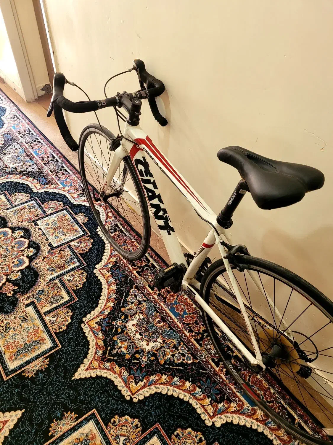 دوچرخه کورسی|دوچرخه، اسکیت، اسکوتر|شمشک, |دیوار