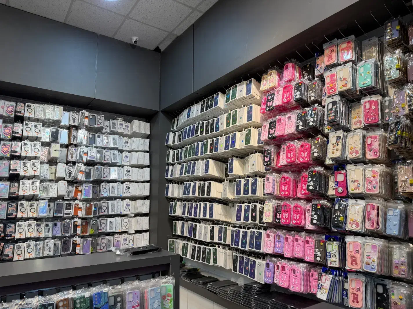 پخش عمده و خرده  لوازم جانبی موبایل|لوازم جانبی موبایل و تبلت|مشهد, عامل|دیوار