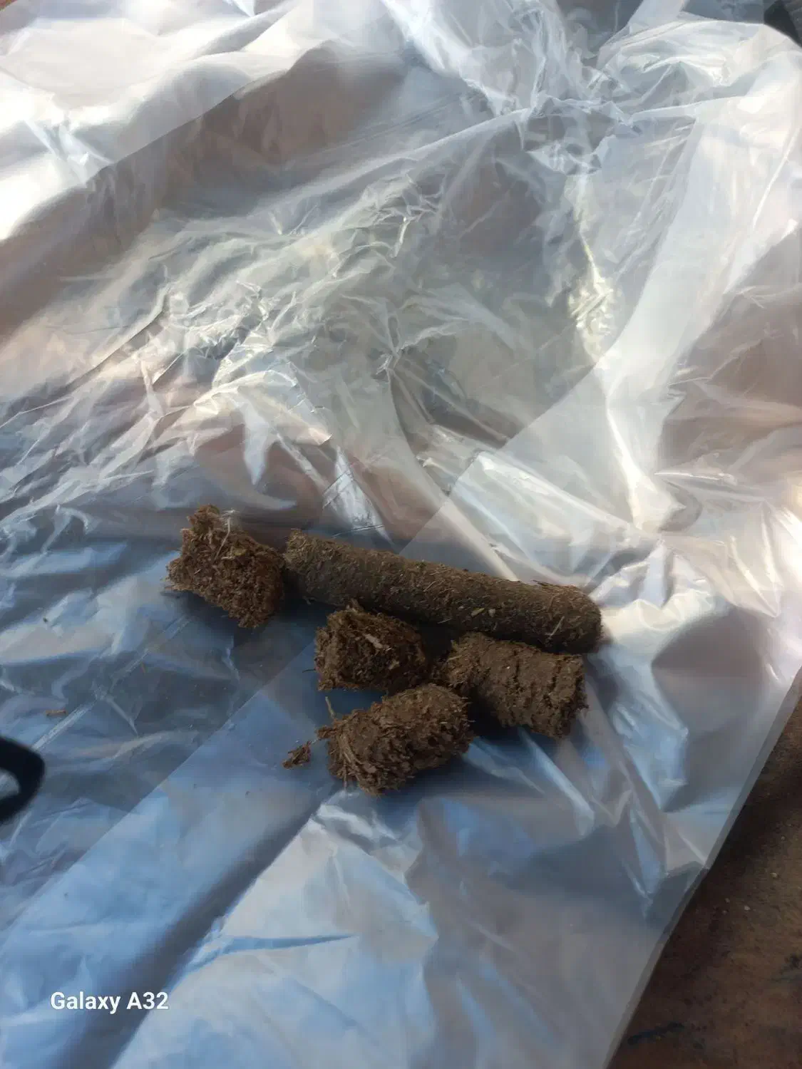 فشنگی تفاله نیشکر ختن|عمدهفروشی|مشهد, آبادگران|دیوار