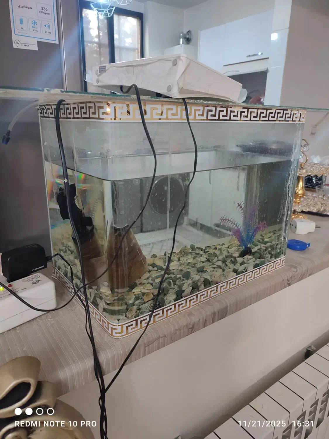 آکواریوم شیشه خم مفت|ماهی|تهران, افسریه شمالی|دیوار