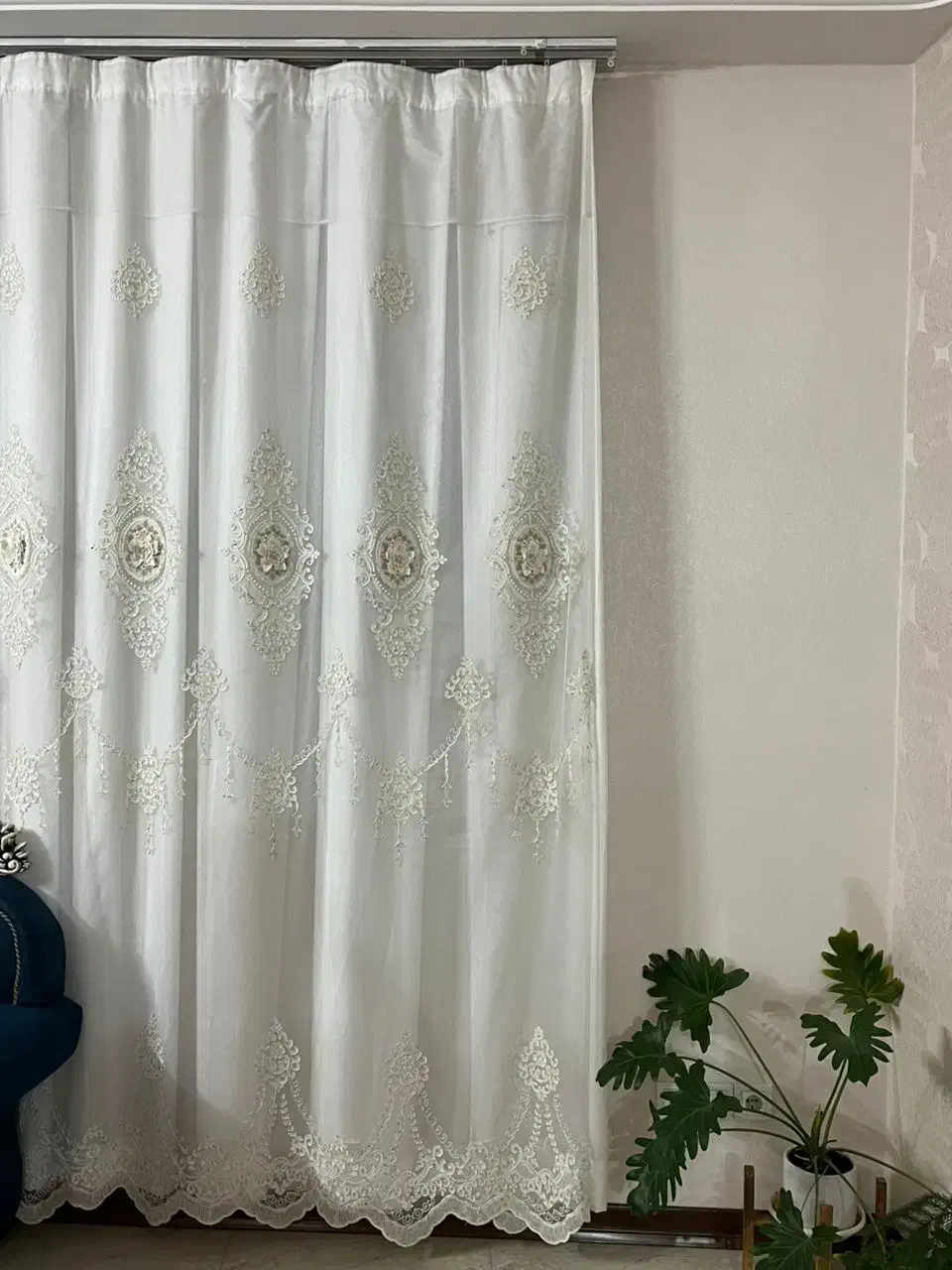 پرده|پرده، رانر، رومیزی|شیراز, شریف‌آباد|دیوار