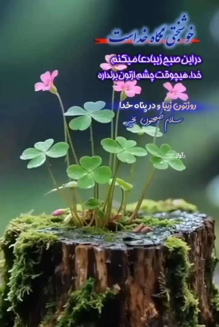 استاکارپیتزا و ساندویچ|استخدام خدمات فروشگاه و رستوران|بجنورد, |دیوار